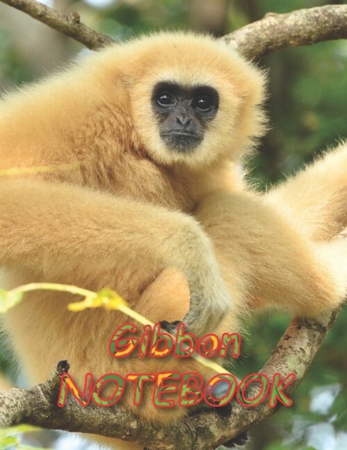 Gibbon NOTEBOOK: Notebooks and Journals 110 pages (8.5x11) (Paperback)