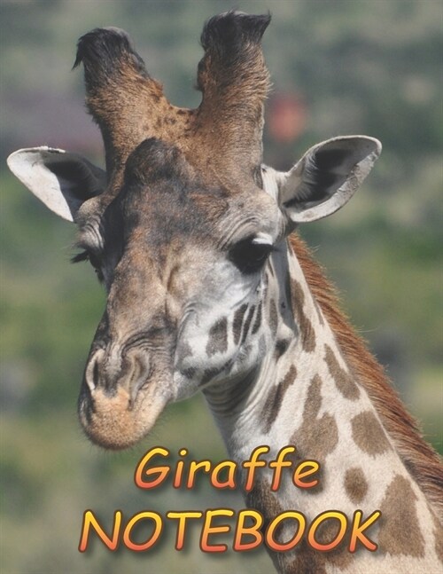 Giraffe NOTEBOOK: Notebooks and Journals 110 pages (8.5x11) (Paperback)