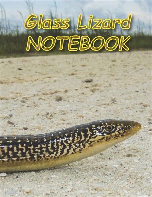 Glass Lizard NOTEBOOK: Notebooks and Journals 110 pages (8.5x11) (Paperback)