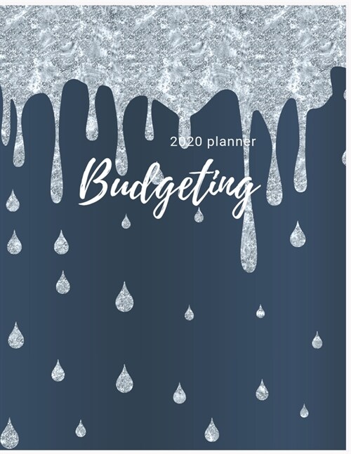 2020 Budgeting Planner: Monthly Planner: 2020 Monthly Financial Budget Planner: Bill Organizer Notebook: Weekly & Monthly Calendar Expense Tra (Paperback)