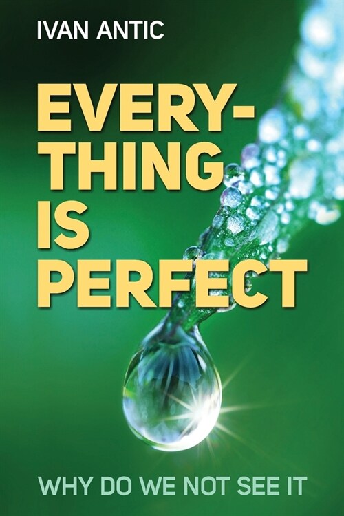 Everything is perfect: Why Do We Not See It (Paperback)