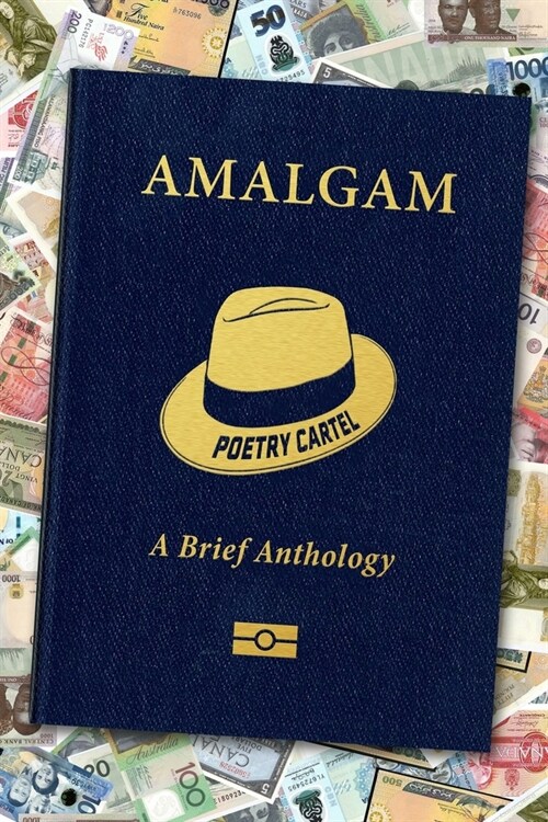 Amalgam (Paperback)