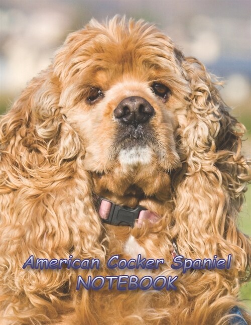 American Cocker Spaniel NOTEBOOK: notebooks and journals 110 pages (8.5x11) (Paperback)