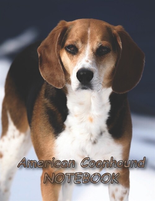 American Coonhound NOTEBOOK: notebooks and journals 110 pages (8.5x11) (Paperback)
