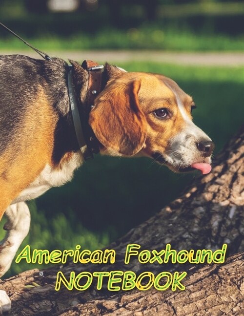 American Foxhound NOTEBOOK: notebooks and journals 110 pages (8.5x11) (Paperback)