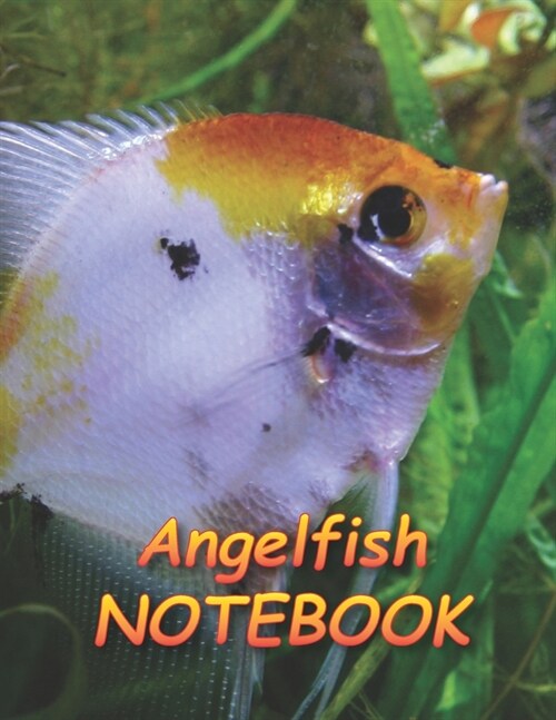 Angelfish NOTEBOOK: notebooks and journals 110 pages (8.5x11) (Paperback)