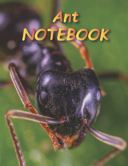 Ant NOTEBOOK: notebooks and journals 110 pages (8.5x11) (Paperback)