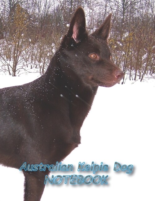 Australian Kelpie Dog NOTEBOOK: notebooks and journals 110 pages (8.5x11) (Paperback)