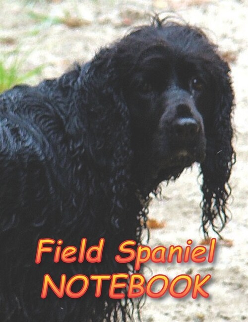 Field Spaniel NOTEBOOK: Notebooks and Journals 110 pages (8.5x11) (Paperback)