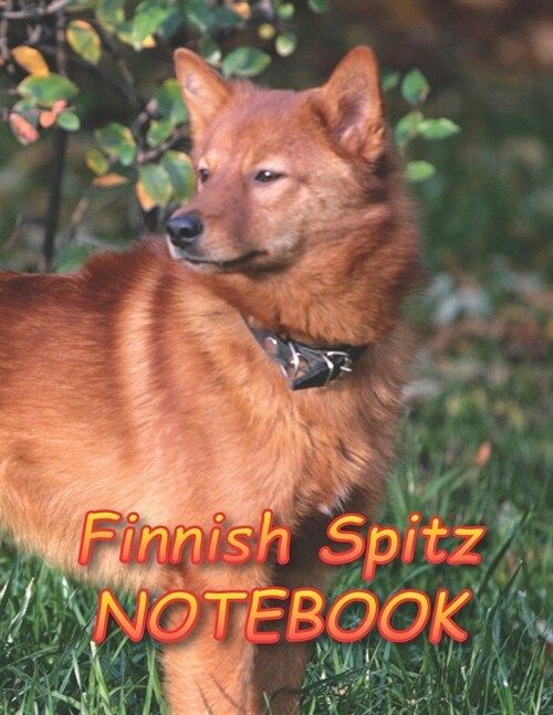 Finnish Spitz NOTEBOOK: Notebooks and Journals 110 pages (8.5x11) (Paperback)