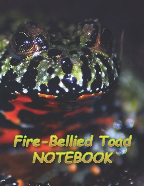Fire-Bellied Toad NOTEBOOK: Notebooks and Journals 110 pages (8.5x11) (Paperback)