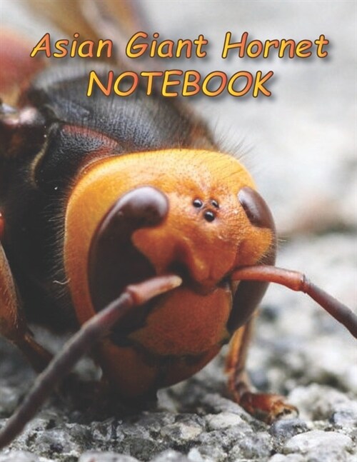 Asian Giant Hornet NOTEBOOK: notebooks and journals 110 pages (8.5x11) (Paperback)