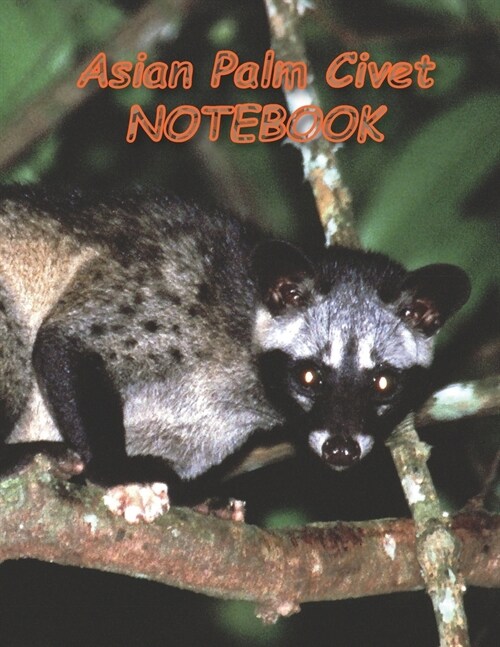 Asian Palm Civet: notebooks and journals 110 pages (8.5x11) (Paperback)