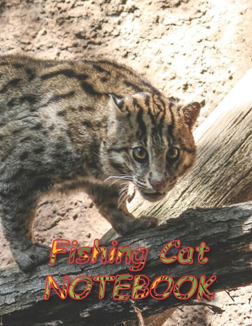 Fishing Cat NOTEBOOK: Notebooks and Journals 110 pages (8.5x11) (Paperback)