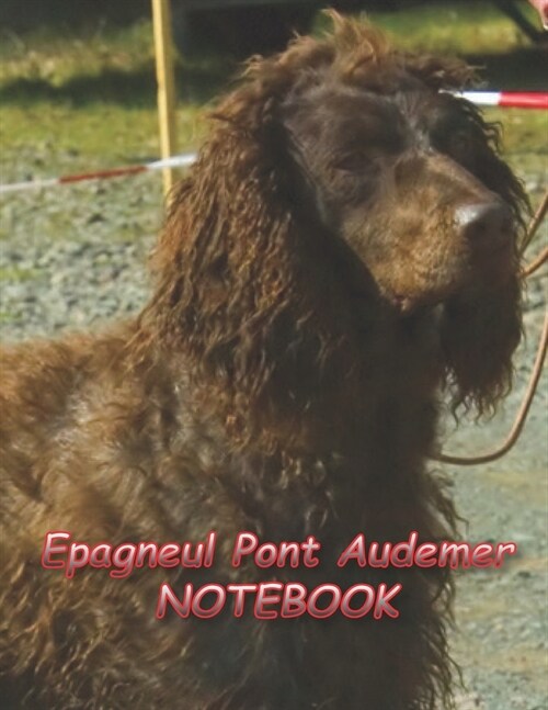 Epagneul Pont Audemer NOTEBOOK: Notebooks and Journals 110 pages (8.5x11) (Paperback)
