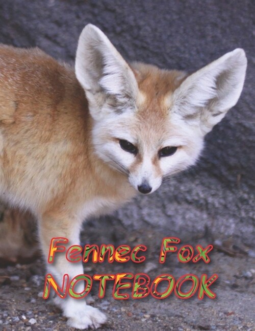 Fennec Fox NOTEBOOK: Notebooks and Journals 110 pages (8.5x11) (Paperback)