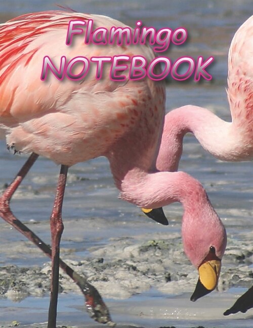 Flamingo NOTEBOOK: Notebooks and Journals 110 pages (8.5x11) (Paperback)