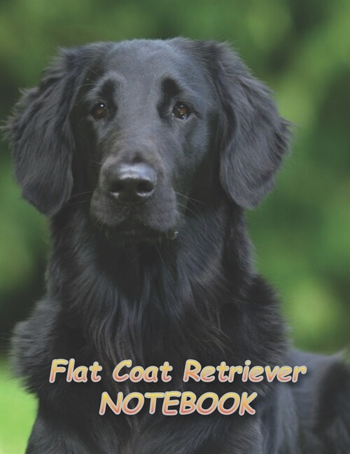 Flat Coat Retriever NOTEBOOK: Notebooks and Journals 110 pages (8.5x11) (Paperback)