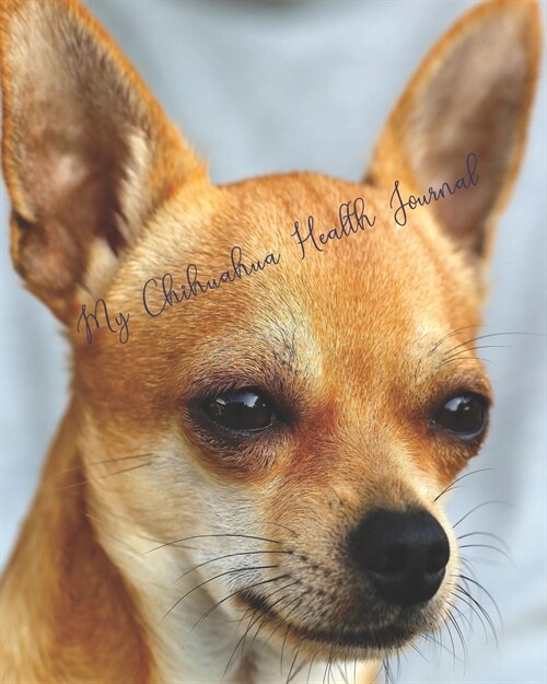 My Chihuahua Health Journal (Paperback)