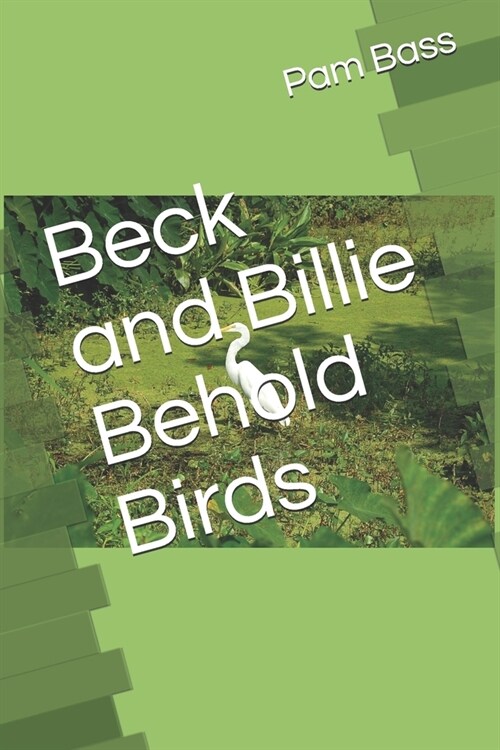 Beck and Billie Behold Birds (Paperback)