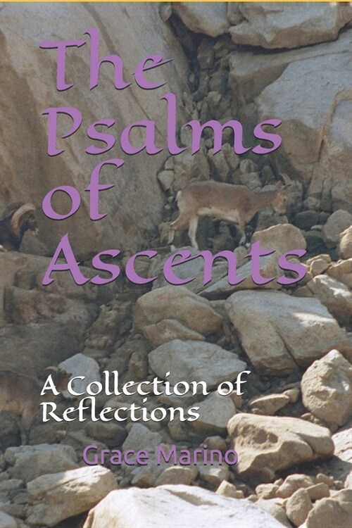 The Psalms of Ascents: A Collection of Reflections (Paperback)