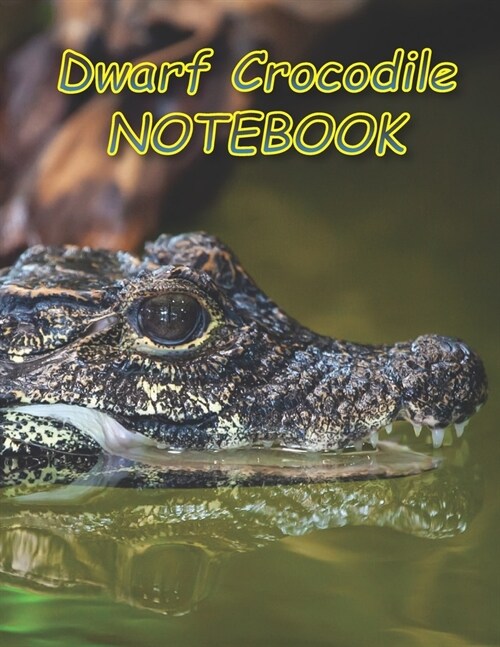 Dwarf Crocodile NOTEBOOK: Notebooks and Journals 110 pages (8.5x11) (Paperback)