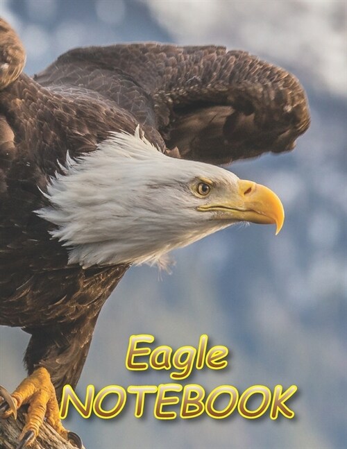 Eagle NOTEBOOK: Notebooks and Journals 110 pages (8.5x11) (Paperback)