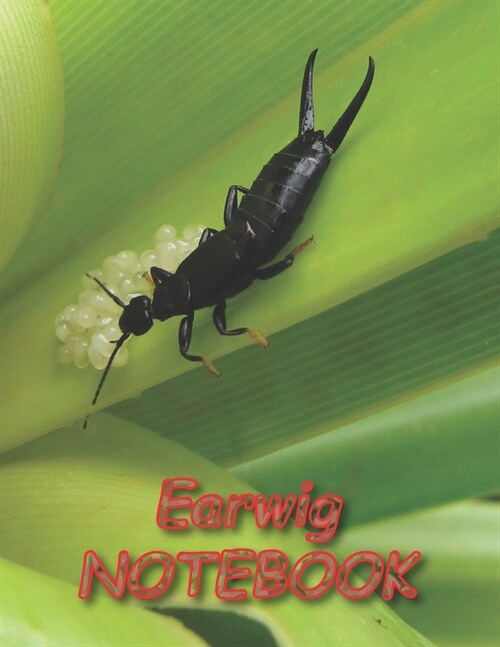 Earwig NOTEBOOK: Notebooks and Journals 110 pages (8.5x11) (Paperback)