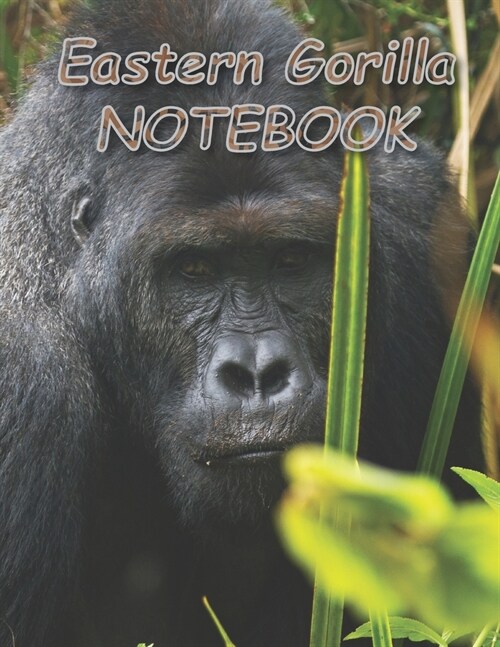 Eastern Gorilla NOTEBOOK: Notebooks and Journals 110 pages (8.5x11) (Paperback)
