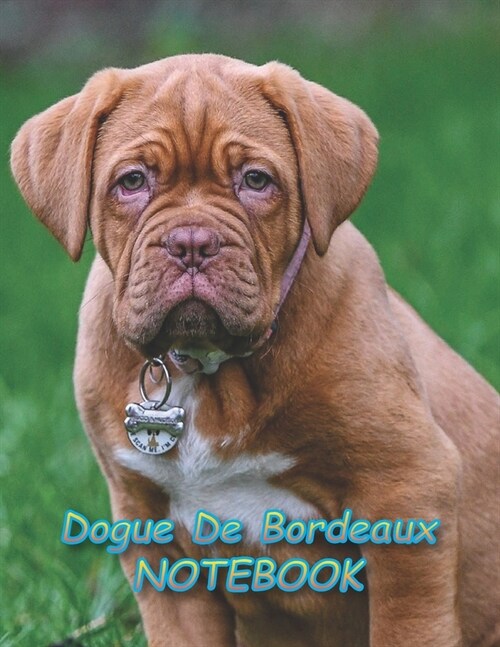 Dogue De Bordeaux NOTEBOOK: Notebooks and Journals 110 pages (8.5x11) (Paperback)