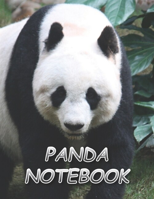 Panda Notebook: Notebooks and Journals 110 pages (8.5x11) (Paperback)