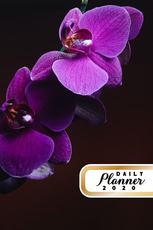 Daily Planner 2020: Orchid Flowers Gardening 52 Weeks 365 Day Daily Planner for Year 2020 6x9 Everyday Organizer Monday to Sunday Flower G (Paperback)