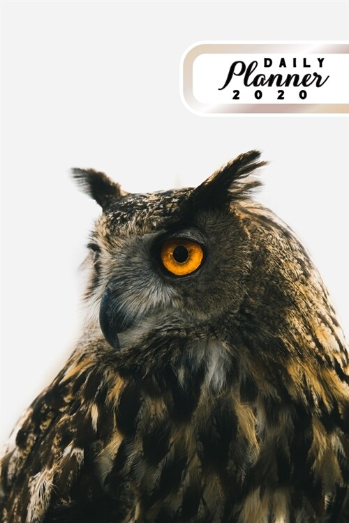 Daily Planner 2020: Exotic Owl Bird Watchers 52 Weeks 365 Day Daily Planner for Year 2020 6x9 Everyday Organizer Monday to Sunday Bird S (Paperback)