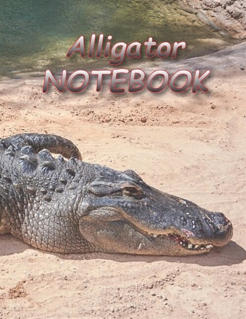Alligator NOTEBOOK: notebooks and journals 110 pages (8.5x11) (Paperback)