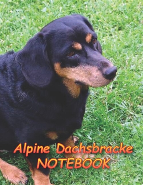 Alpine Dachsbracke NOTEBOOK: notebooks and journals 110 pages (8.5x11) (Paperback)