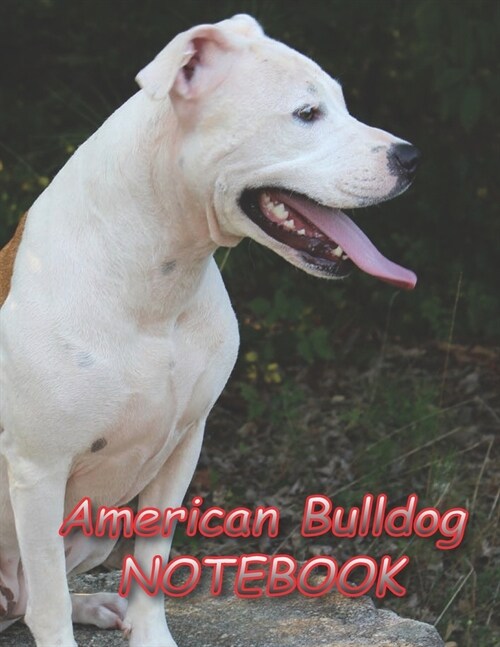 American Bulldog NOTEBOOK: notebooks and journals 110 pages (8.5x11) (Paperback)
