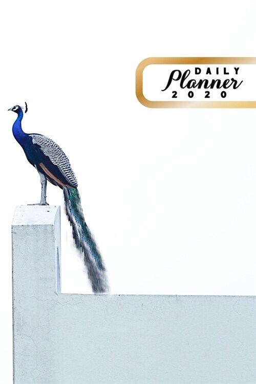 Daily Planner 2020: Peacock Bird Watchers 52 Weeks 365 Day Daily Planner for Year 2020 6x9 Everyday Organizer Monday to Sunday Bird Scie (Paperback)