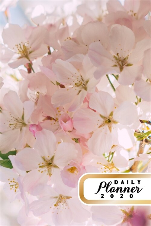 Daily Planner 2020: Pink Sakura Flowers Cherry Blossoms 52 Weeks 365 Day Daily Planner for Year 2020 6x9 Everyday Organizer Monday to Su (Paperback)