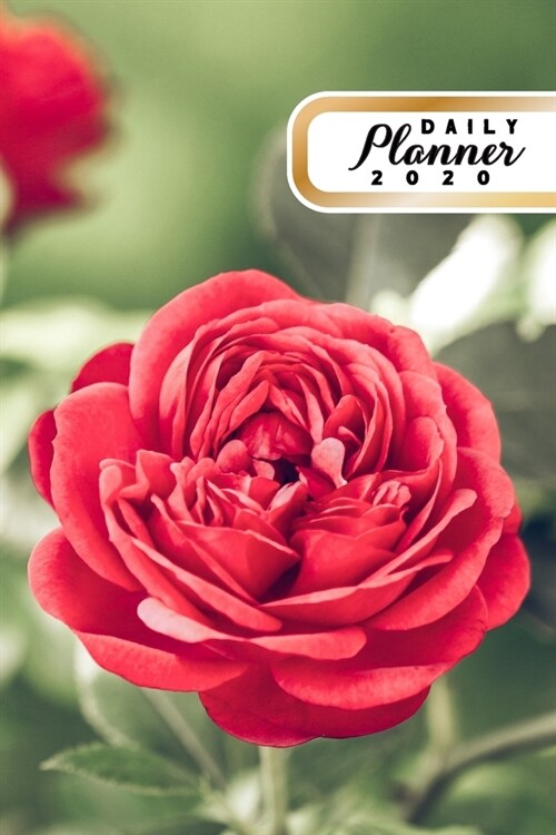 Daily Planner 2020: Red Rose Flowers Gardening 52 Weeks 365 Day Daily Planner for Year 2020 6x9 Everyday Organizer Monday to Sunday Flow (Paperback)