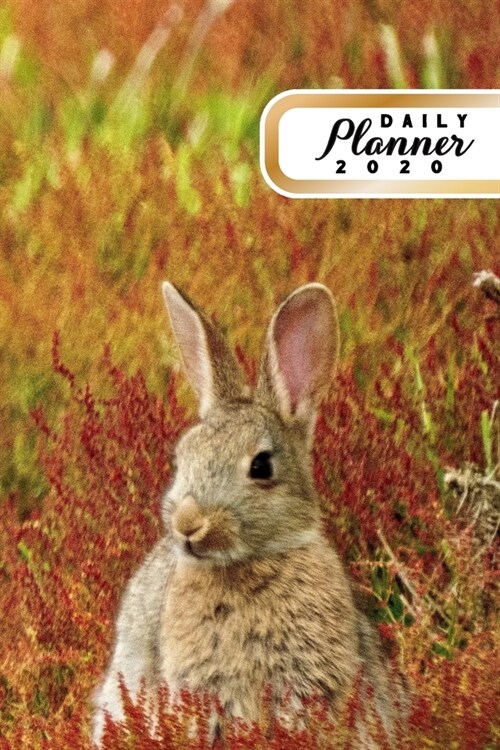 Daily Planner 2020: Bunny Rabbit Lovers 52 Weeks 365 Day Daily Planner for Year 2020 6x9 Everyday Organizer Monday to Sunday Cute Pet Ra (Paperback)