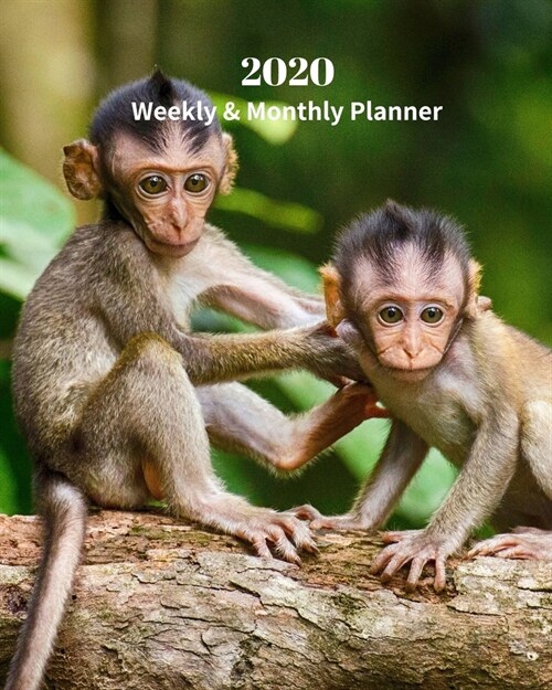 2020 Weekly and Monthly Planner: Baby Monkeys - Monthly Calendar with U.S./UK/ Canadian/Christian/Jewish/Muslim Holidays- Calendar in Review/Notes 8 x (Paperback)