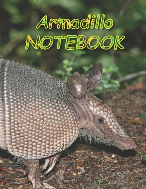 Armadillo NOTEBOOK: notebooks and journals 110 pages (8.5x11) (Paperback)