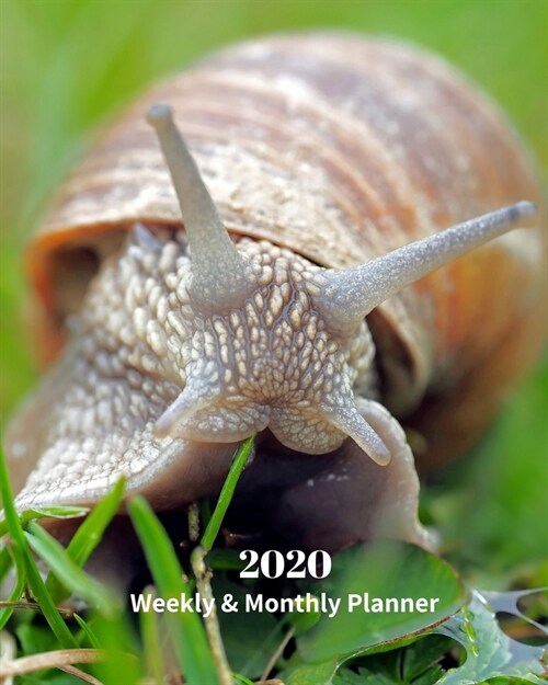 2020 Weekly and Monthly Planner: Snail - Monthly Calendar with U.S./UK/ Canadian/Christian/Jewish/Muslim Holidays- Calendar in Review/Notes 8 x 10 in. (Paperback)