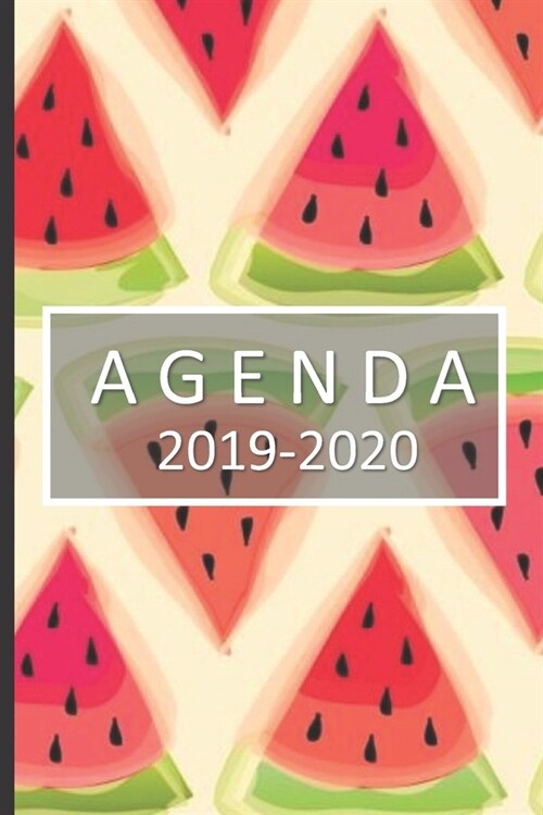 agenda 2019-2020: lindo planificador 2019-2020 del 1 de julio del 2019 al 31 de diciembre del 2020 diario semanal mensual (Paperback)