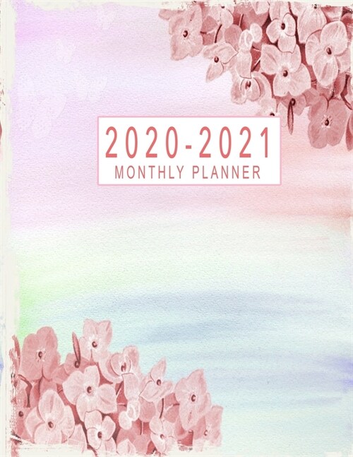 2020-2021 Monthly Planner: 2020-2021 Two Year Planner Monthly Jan 2020 - Dec 2021 2 Year Monthly Planner Calendar Schedule Organizer January 2020 (Paperback)