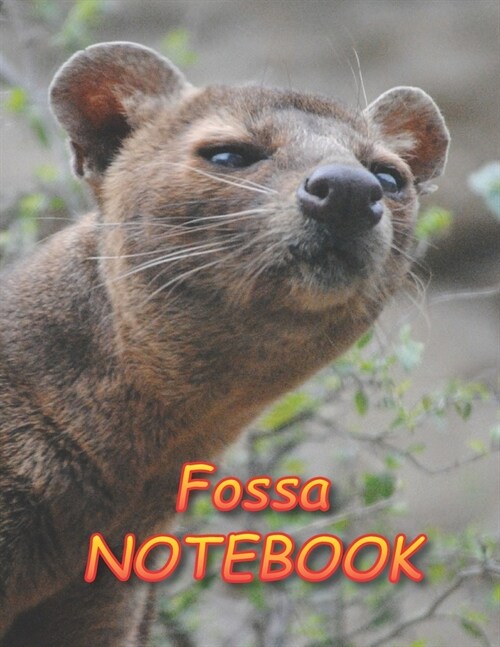 Fossa NOTEBOOK: Notebooks and Journals 110 pages (8.5x11) (Paperback)