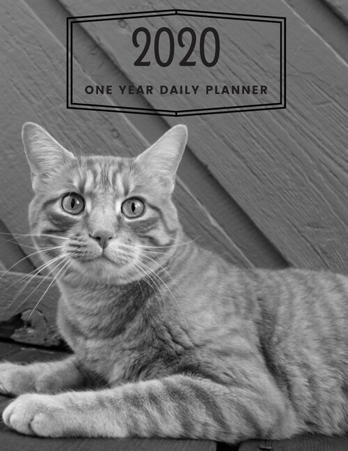 2020 One Year Daily Planner: Beautiful Kitty Cat Themed - Day Planner Journal Notebook (Paperback)