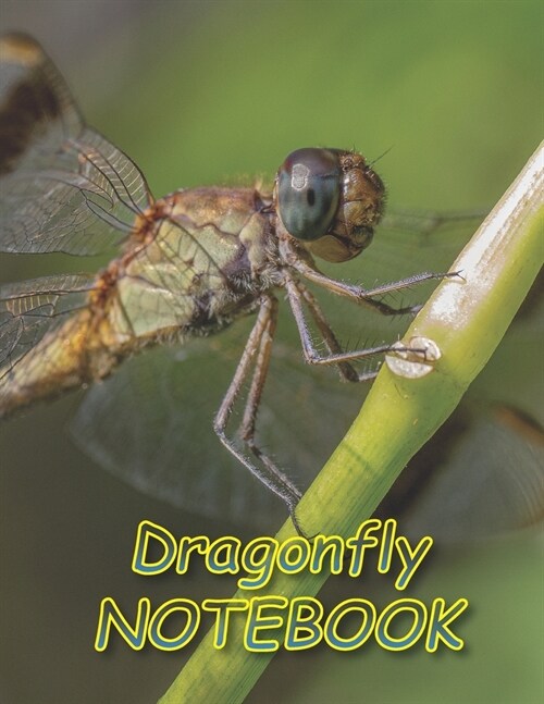 Dragonfly NOTEBOOK: Notebooks and Journals 110 pages (8.5x11) (Paperback)