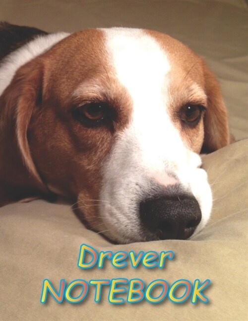 Drever NOTEBOOK: Notebooks and Journals 110 pages (8.5x11) (Paperback)