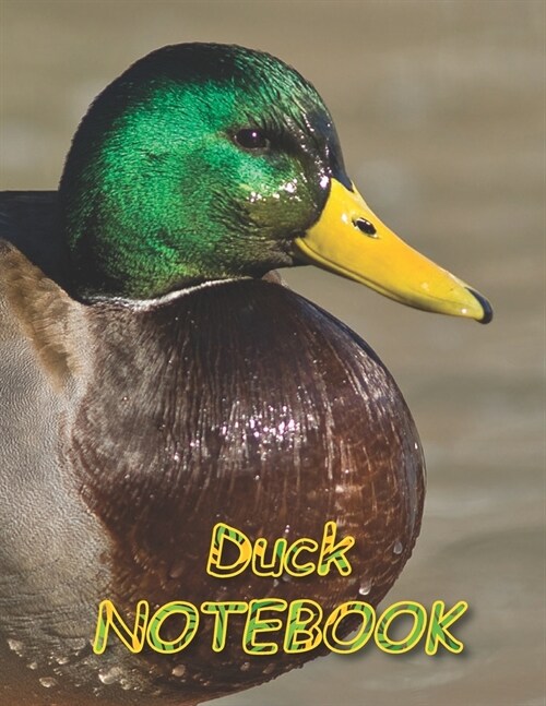Duck NOTEBOOK: Notebooks and Journals 110 pages (8.5x11) (Paperback)